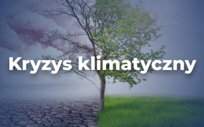 Kryzys klimatyczny dzieje się dziś